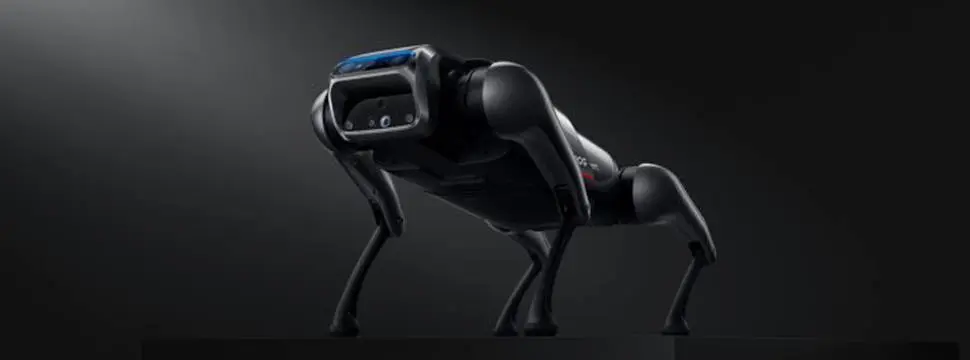 Xiaomi