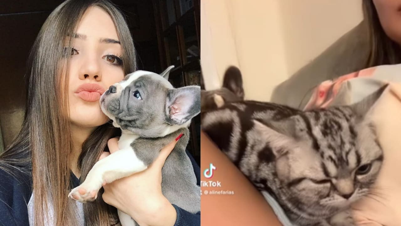 FF: Aline Farias realiza resgate de animais abandonados ao lado dos pais -  Pichau Arena