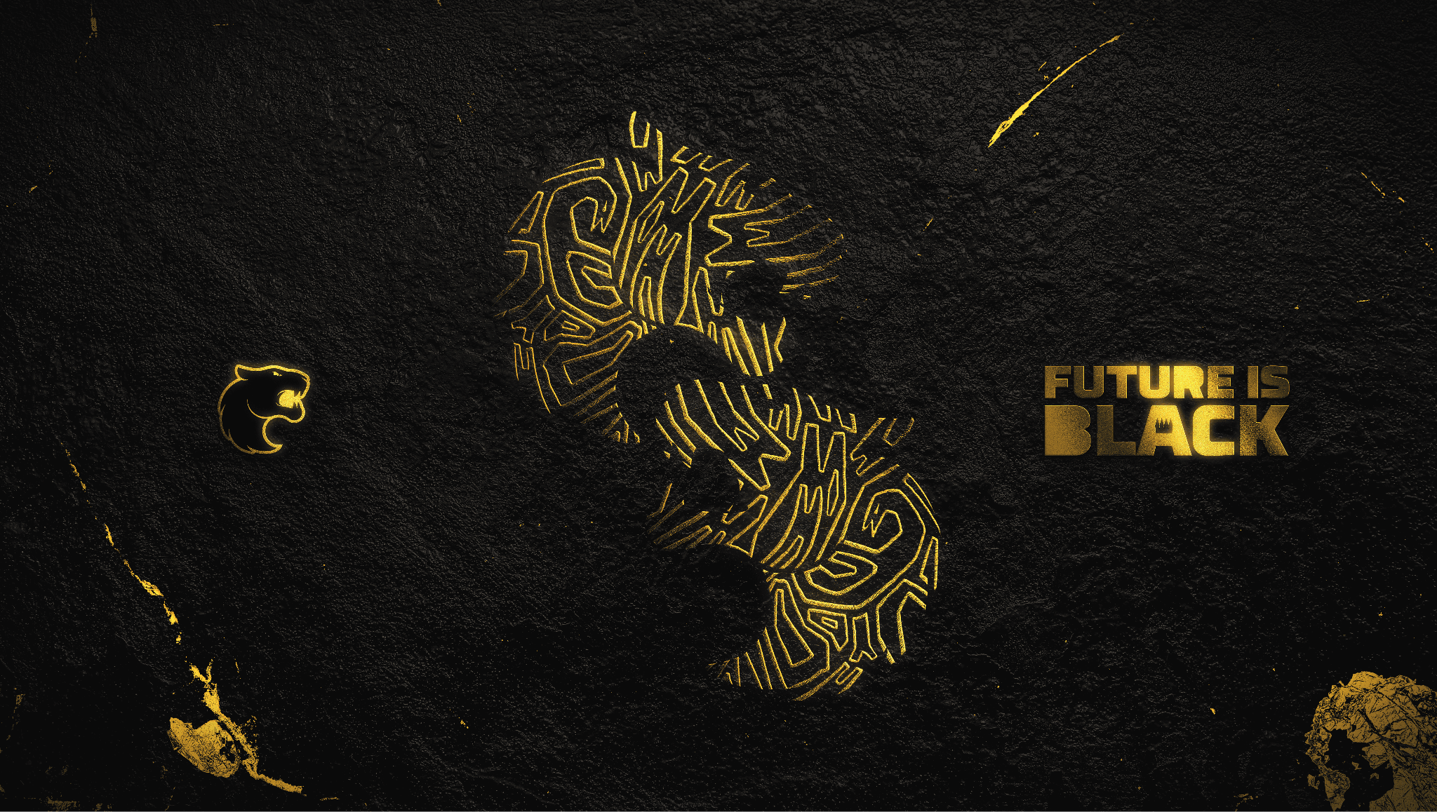 FURIA: Transformando o jogo e impactando vidas 4 FURIA: Transformando o jogo e impactando vidas FUTURE IS BLACK IDENTIDADE VISUAL 1 1.png