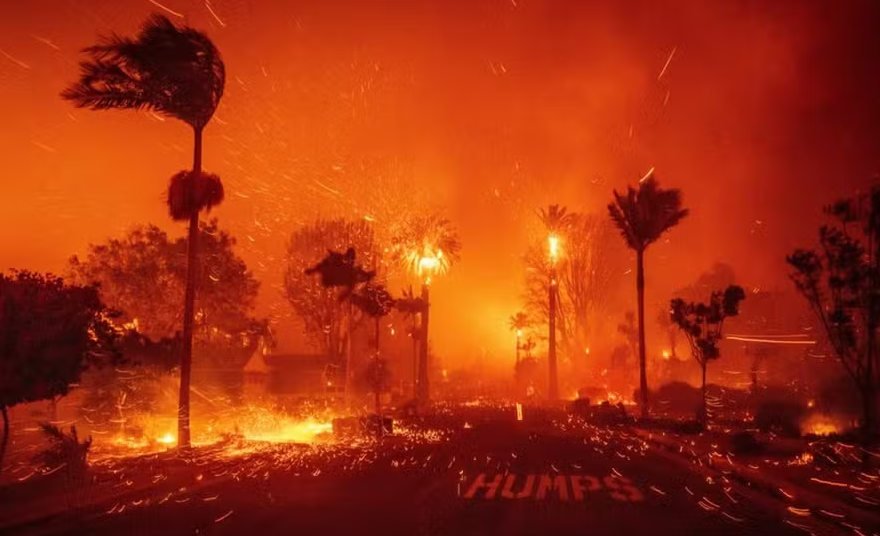 Sony, outras gigantes e até celebridades fazem doações milionárias para combate a incêndios em Los Angeles 2 Los Angeles
