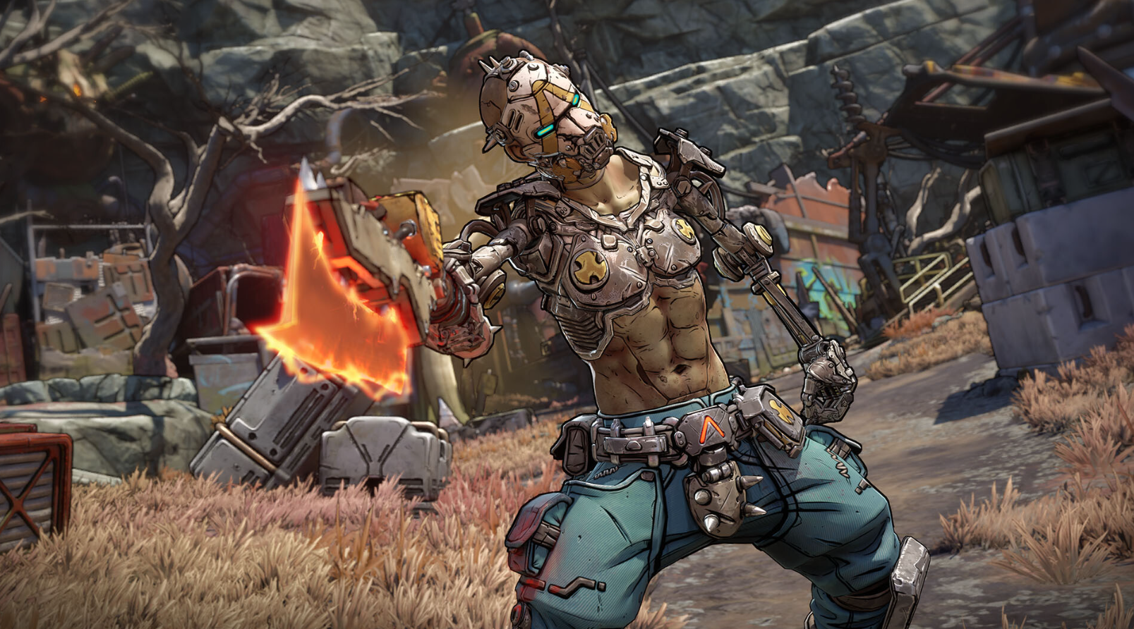 Borderlands 4