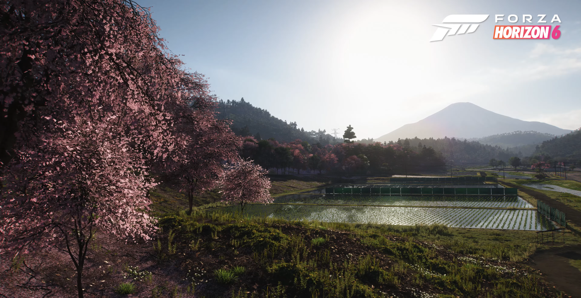 Forza Horizon 6 finalmente mostra o Japão em nova gameplay; assista Captura de tela 2026 02 17 190005.png