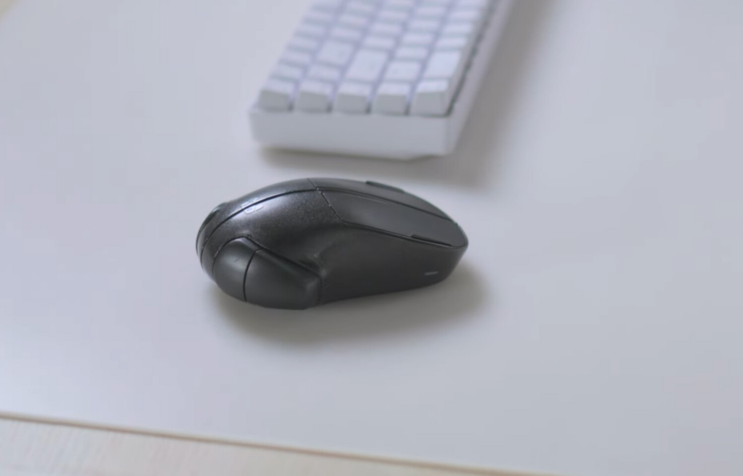 Mouse