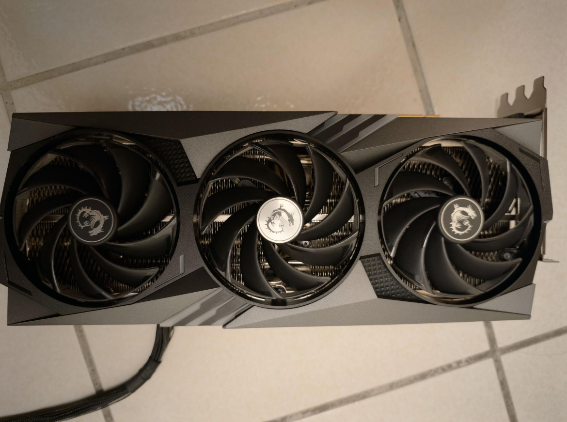 Monitor falhou, o gato não: felino evita tragédia com GPU caríssima 2 GPU